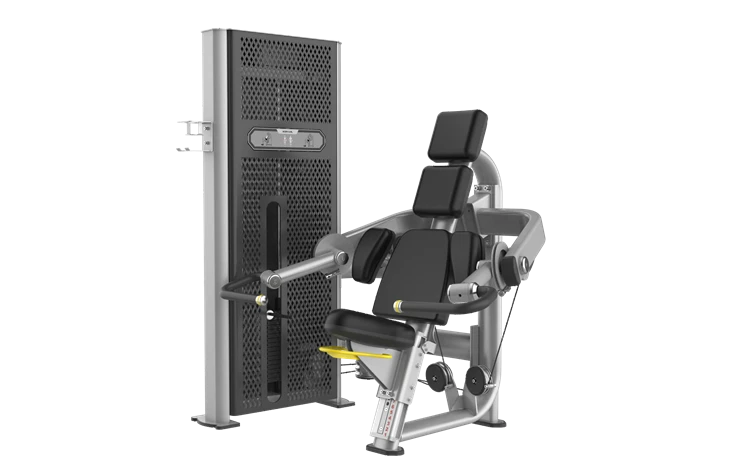 Machine commerciale de boucle de biceps d'équipement de gymnase de la Chine